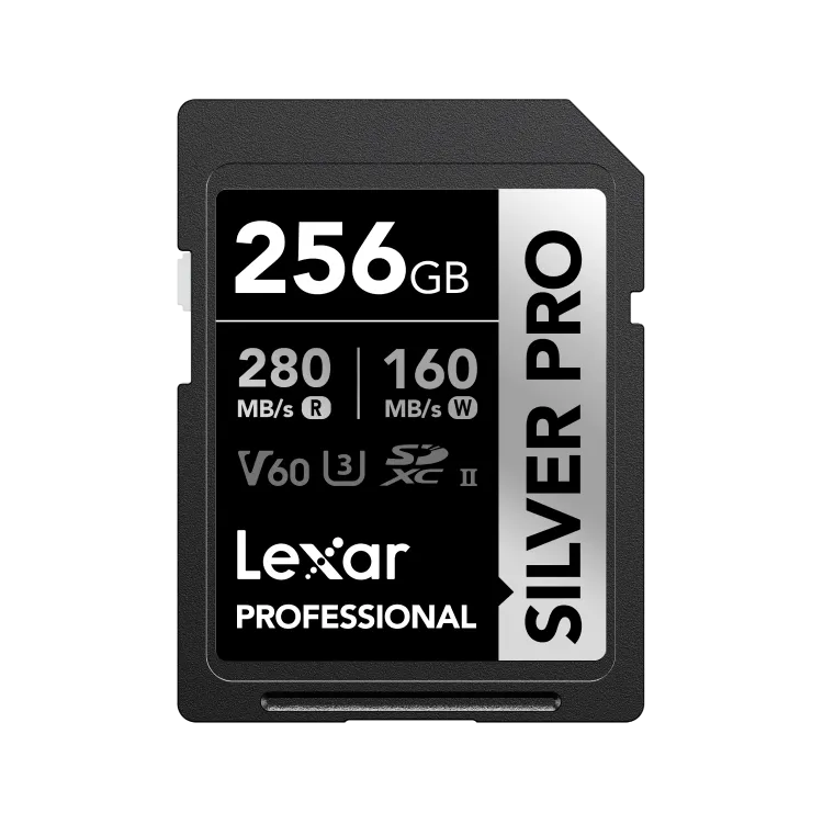 SILVER_PRO_SDXC_256GB_Photo1 